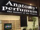 ANATOMY PERFUMUM